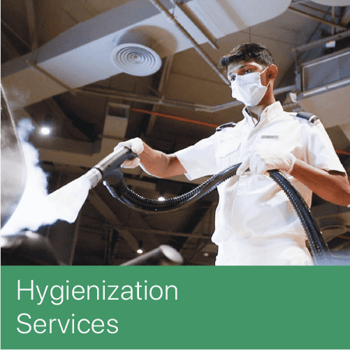 Hygienization Service