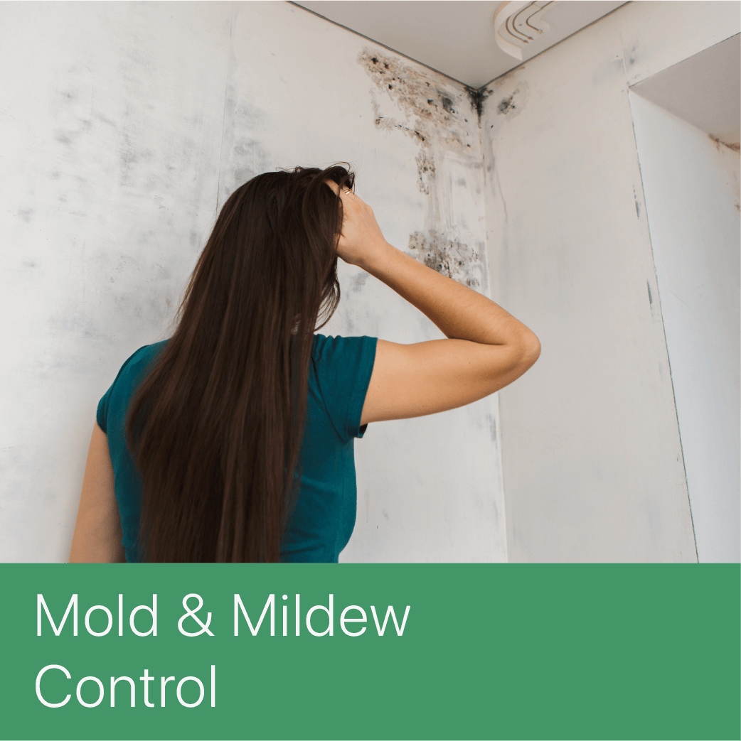 Mold and Mildew Control saniservice