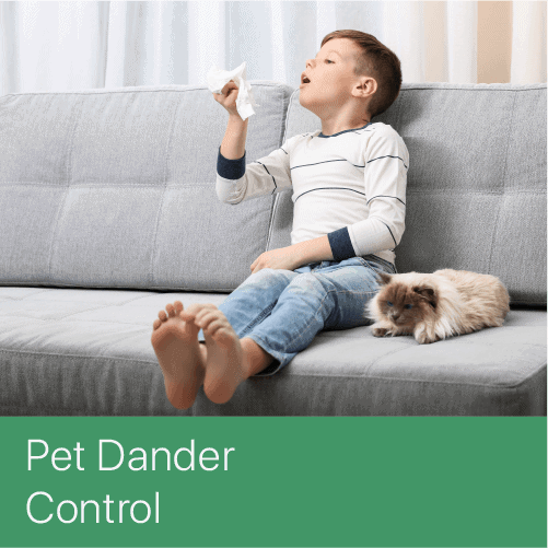 Pet Dander Control